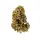 Cannabissamen White Widow Auto - 3 Samen